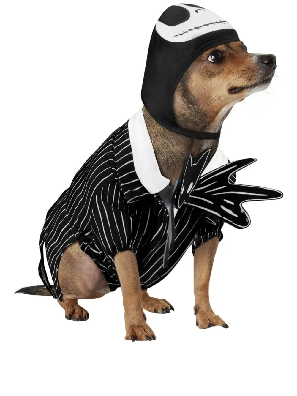 Disney Black & White Striped Jack Dog Costume